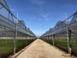 Azienda Agricola Biologica di D'Acunto Maurizio